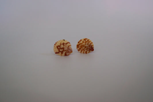Little Treasures