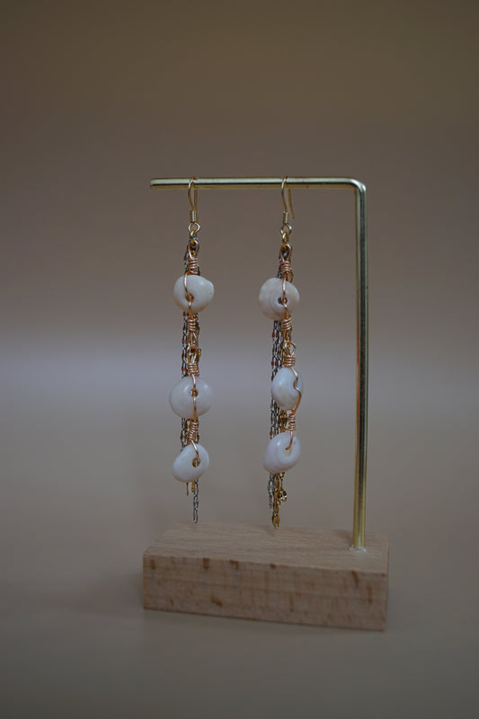 Sunlit Shores Earnings