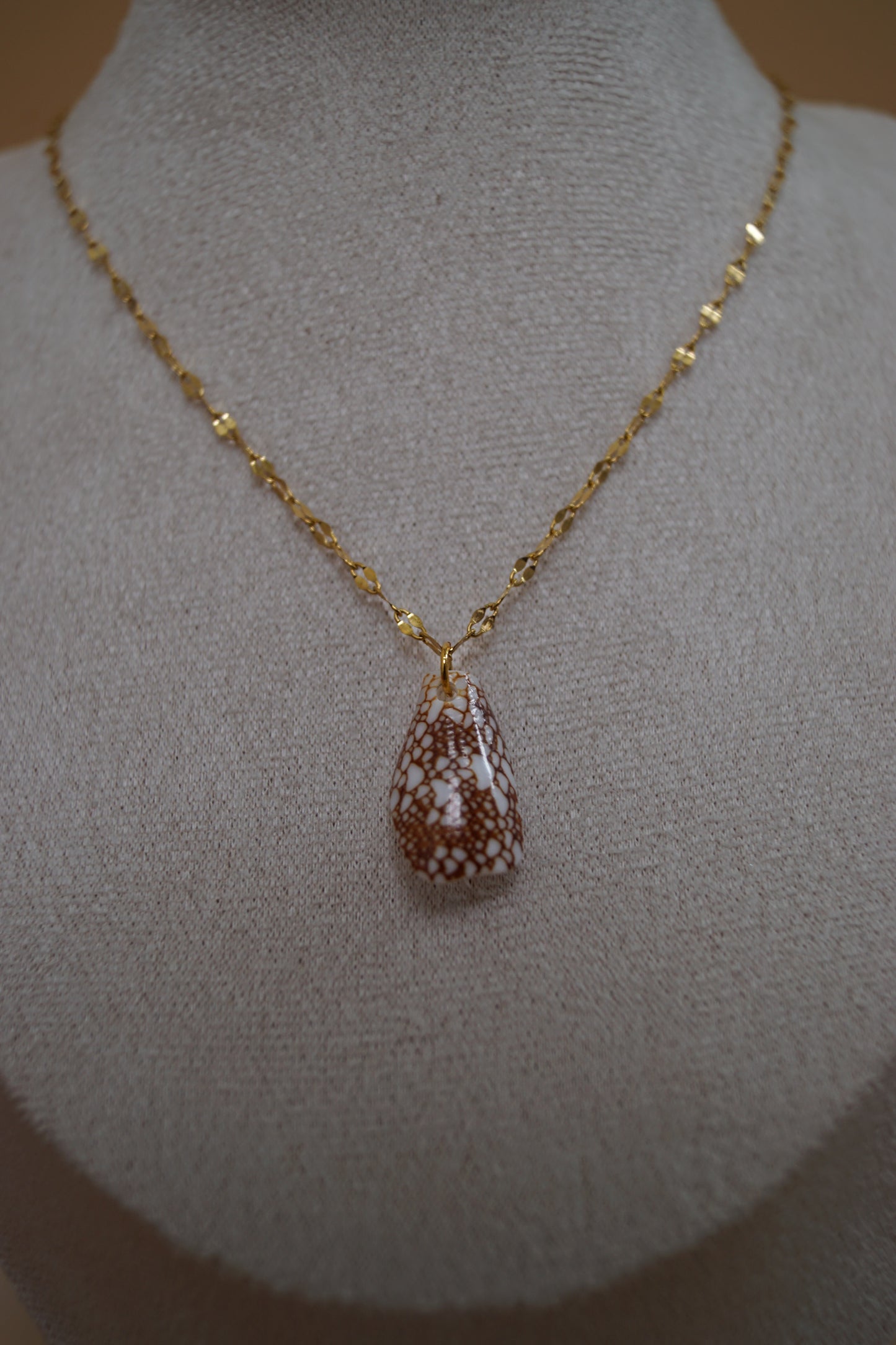 Saltlace